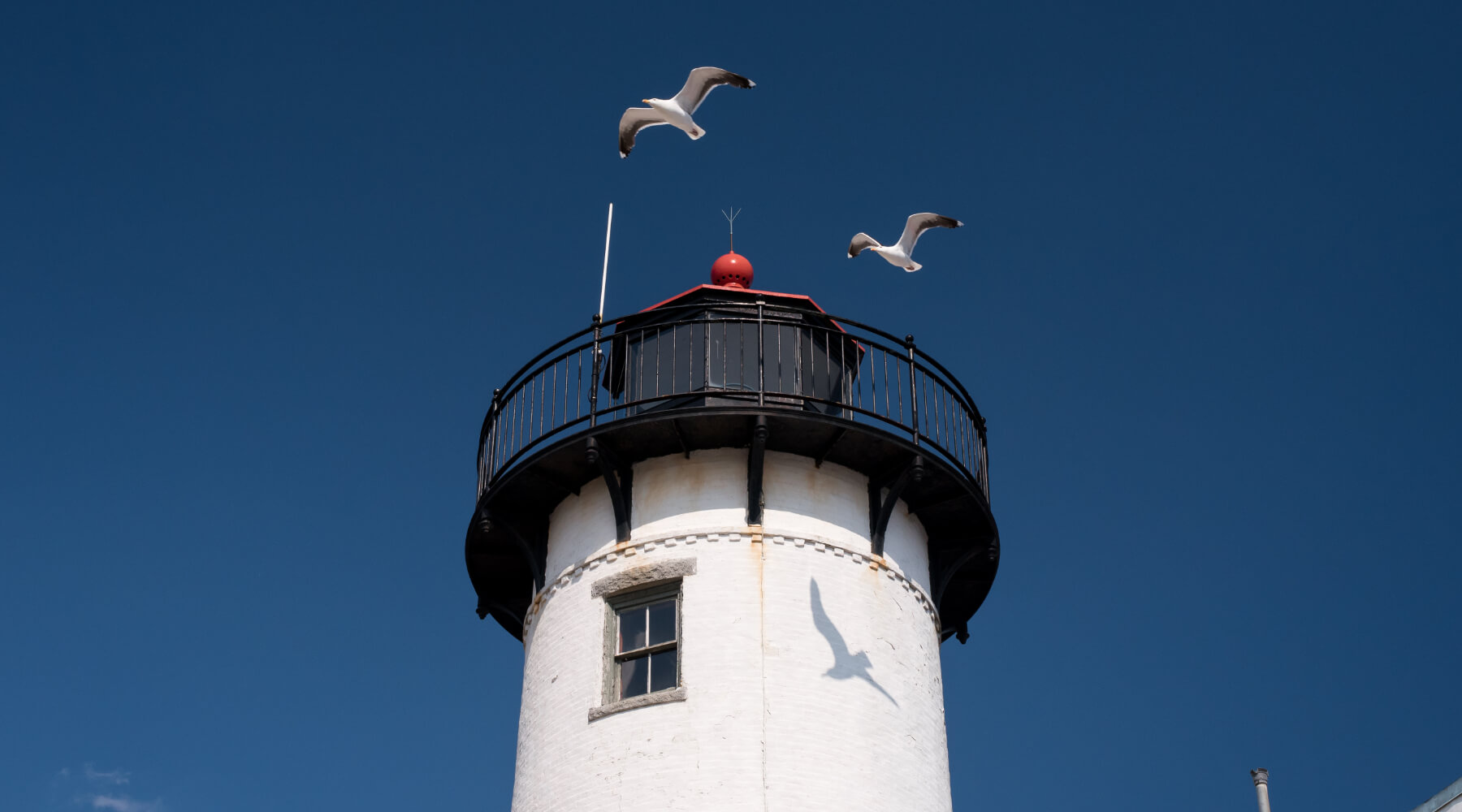 Eastern Point Lighthouse Seagulls Cape Ann MA near Rockport Inn & Suites