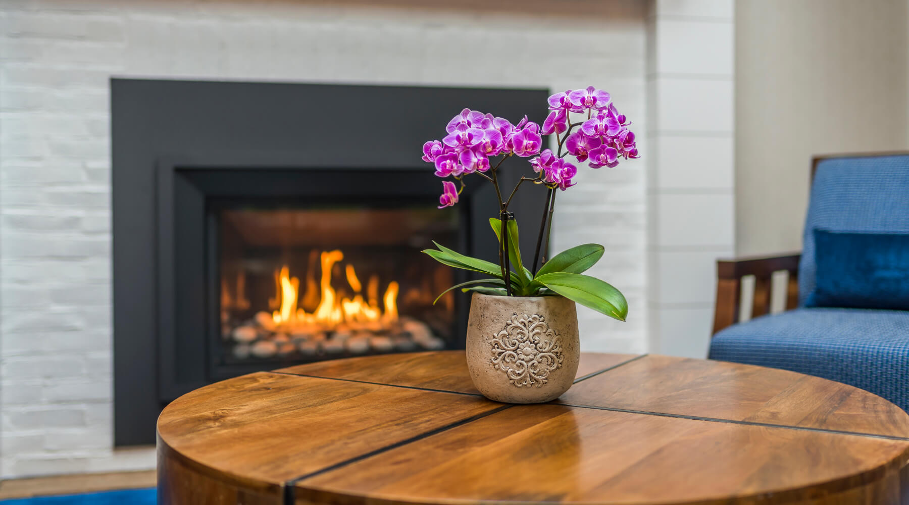 Fireplace and Orchid Interior Photo at Rockport Inn & Suites