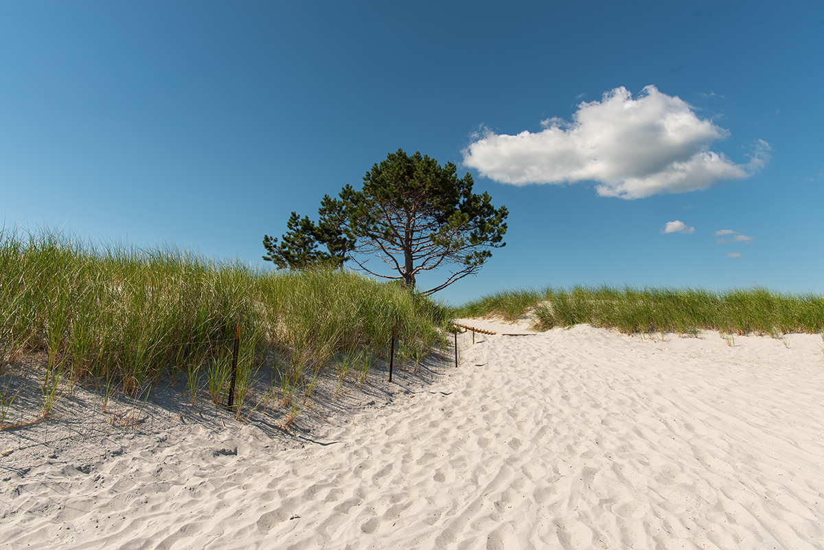 Sand Dunes Cape Ann MA Near Rockport Inn & Suites