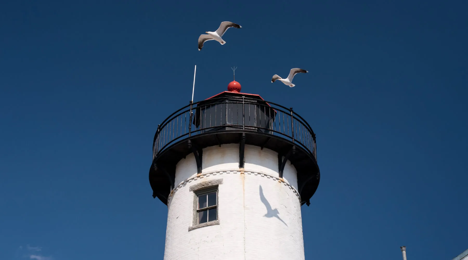 Eastern Point Lighthouse Seagulls Cape Ann MA near Rockport Inn & Suites
